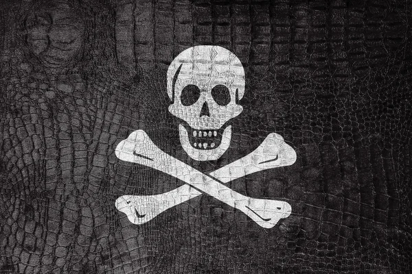 A hagyományos Jolly Roger kalózkodás zászló, egy luxus, divatos vászon — Stock Fotó