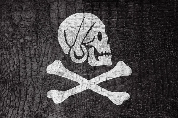 Henry Every Pirate Flag, sur une toile luxueuse et à la mode — Photo