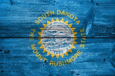 South Dakota State, eski ahşap tahta zemin üzerine boyalı bayrağı