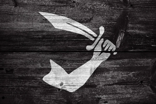 古い木の板の背景に描かれたトマス Tew 海賊旗 — ストック写真