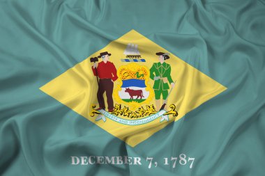 Delaware eyalet bayrağı sallayarak