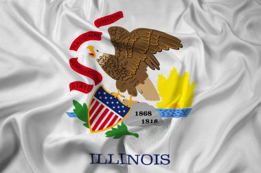 Illinois Devlet bayrağı sallayarak