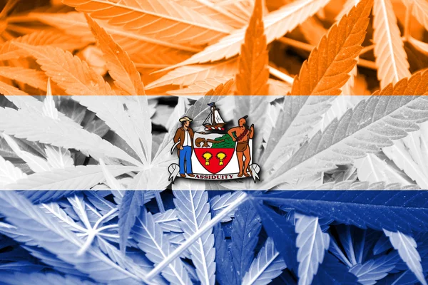 Bandiera di Albany, New York, su sfondo cannabis — Foto Stock