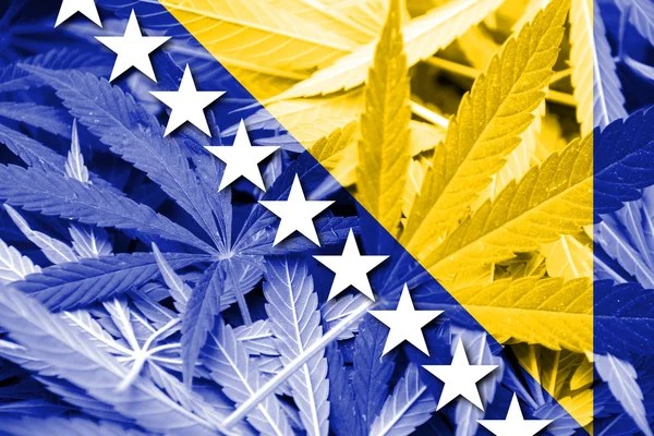 För Bosnien och Hercegovina, flagg på cannabis bakgrund — Stockfoto