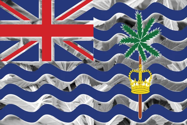 Bandeira do Território Britânico do Oceano Índico, sobre fundo de cannabis — Fotografia de Stock