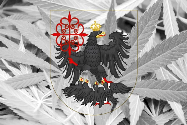 Flag of Buenos Aires, on cannabis background — Stock Photo, Image