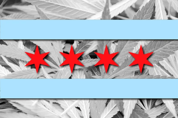 Flaga z Chicago, Illinois, na tle konopi — Zdjęcie stockowe