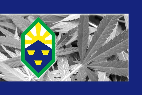 Vlag van Colorado Springs, Colorado, op cannabis achtergrond — Stockfoto