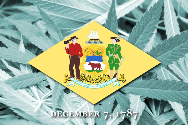 Flag of Delaware State, on cannabis background