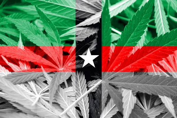 Flag of Denison, Texas, on cannabis background — Stock Photo, Image
