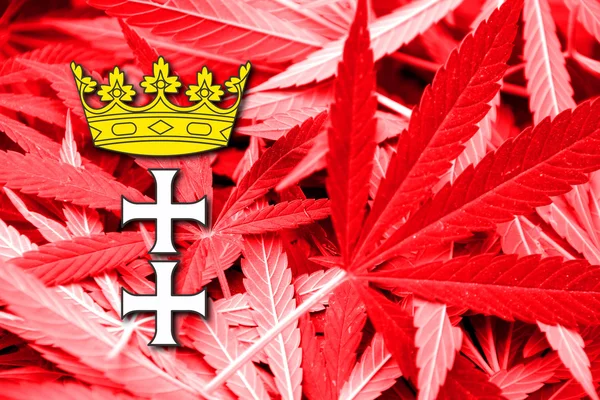 Bandiera di Danzica, Polonia, su sfondo cannabis — Foto Stock