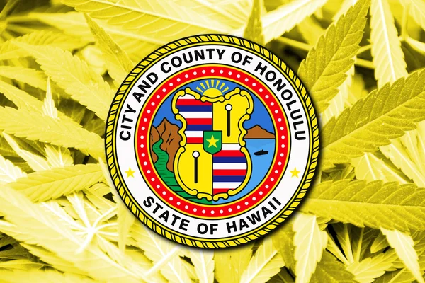 Vlag van Honolulu, Hawaï, op cannabis achtergrond — Stockfoto