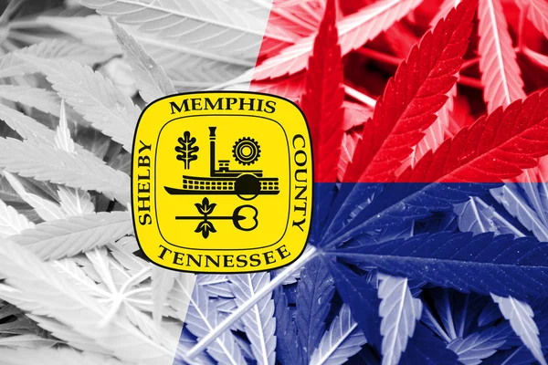 Flag of Memphis, Tennessee, on cannabis background — Stock Photo, Image