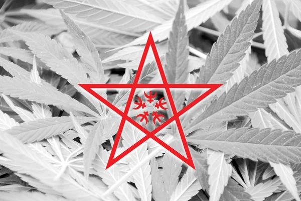 Flag of Nagasaki, Japan, on cannabis background