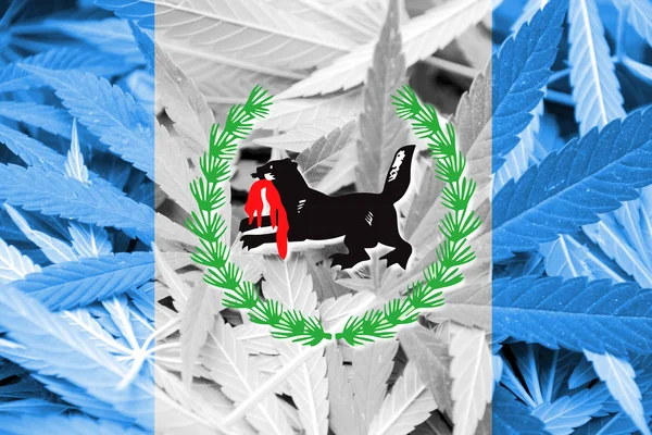 Flagge des Gebiets Irkutsk, auf Cannabis-Hintergrund — Stockfoto