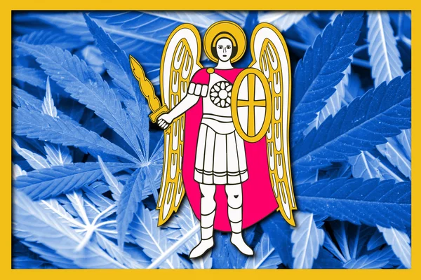 Flagge Kiews, auf Cannabis-Hintergrund — Stockfoto