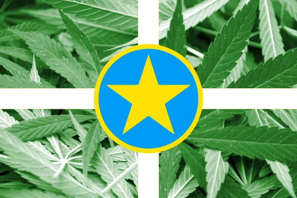 Flagge von jackson, mississippi, auf Cannabis-Hintergrund — Stockfoto