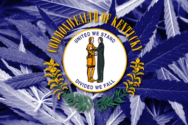 Flag of Kentucky State, on cannabis background