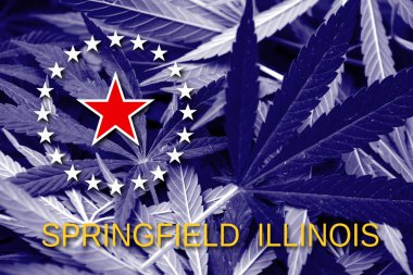 Flag of Springfield, Illinois, on cannabis background clipart
