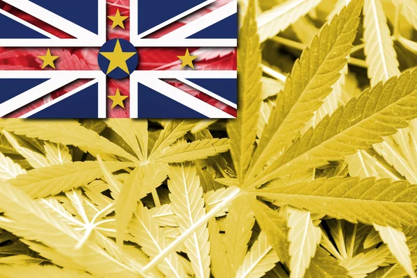 Flagge von niue, auf Cannabis-Hintergrund — Stockfoto