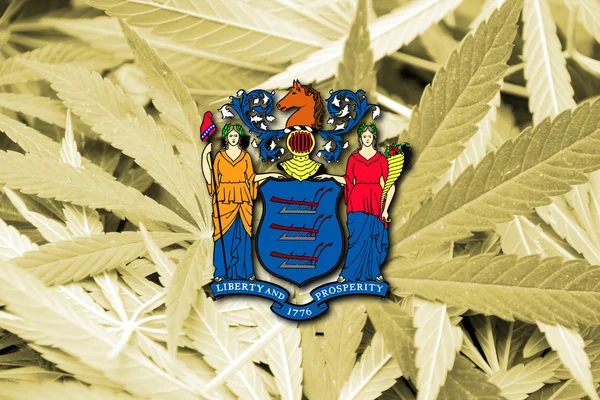 Bandeira do Estado de Nova Jersey, sobre fundo de cannabis — Fotografia de Stock