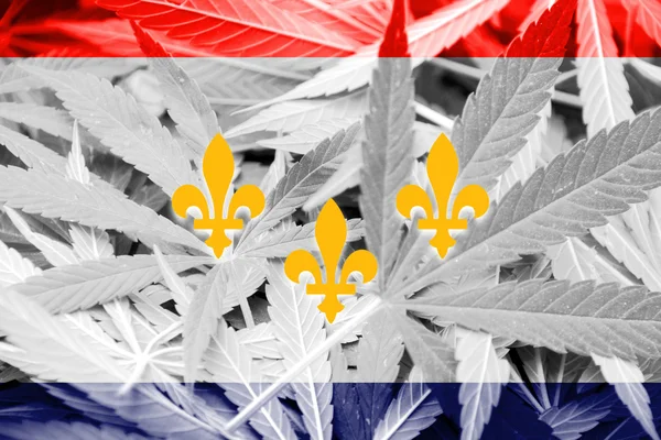 Bandiera di New Orleans, Louisiana, sullo sfondo della cannabis — Foto Stock