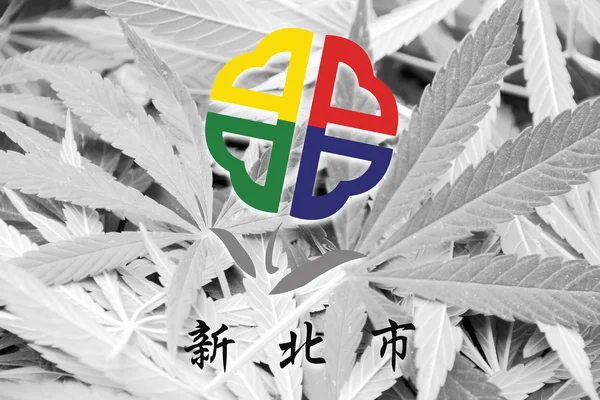 Flag of New Taipei City, Taiwan, on cannabis background — Stock Photo, Image