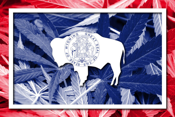 Flag of Wyoming State, on cannabis background