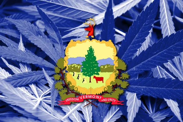 Flaga stanu Vermont, na tle konopi — Zdjęcie stockowe