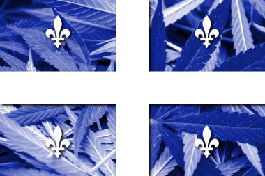 Quebec, bayrağı esrar arka plan üzerinde