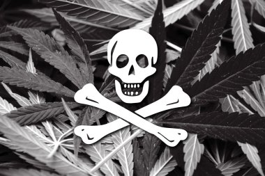 Korsan bayrağı, esrar backgrou geleneksel Jolly Roger