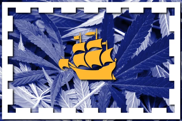 Vlag van Quebec City, op cannabis achtergrond — Stockfoto