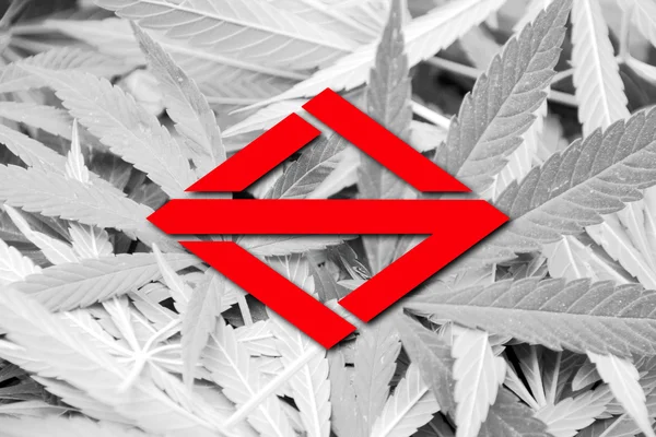 Vlag van Yokohama, Japan, op cannabis achtergrond — Stockfoto