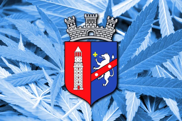 Flag of Tirana, on cannabis background — Stock Photo, Image