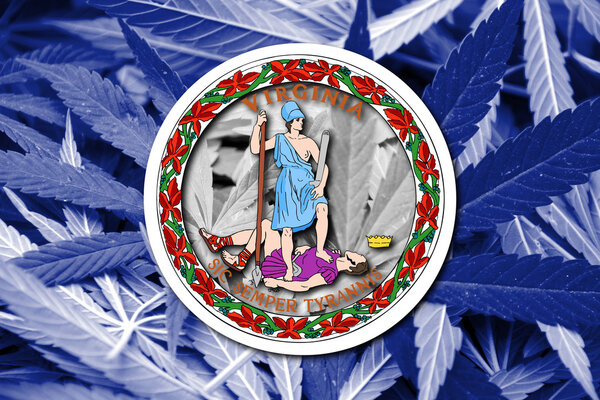 Flag of the Commonwealth of Virginia, on cannabis background