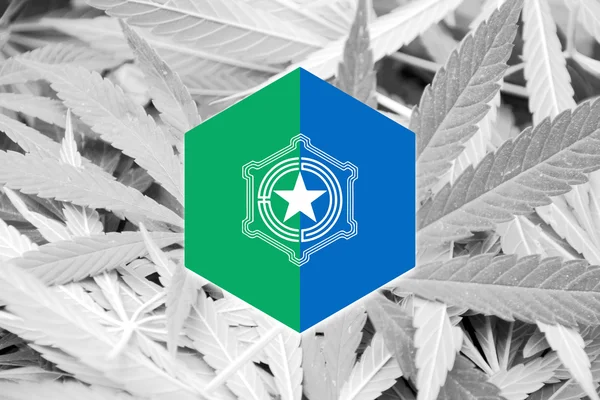 Vlag van Sapporo, Japan, op cannabis achtergrond — Stockfoto