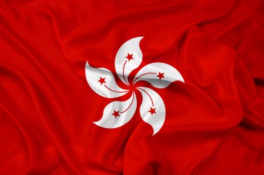hong kong bayrağı sallayarak