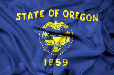 Oregon Eyalet bayrağı sallayarak