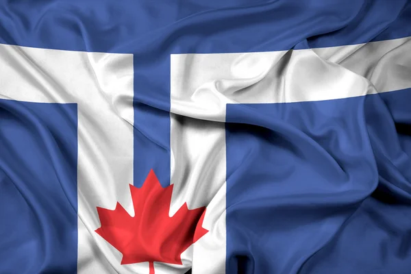 토론토의 깃발을 흔들며 — 스톡 사진