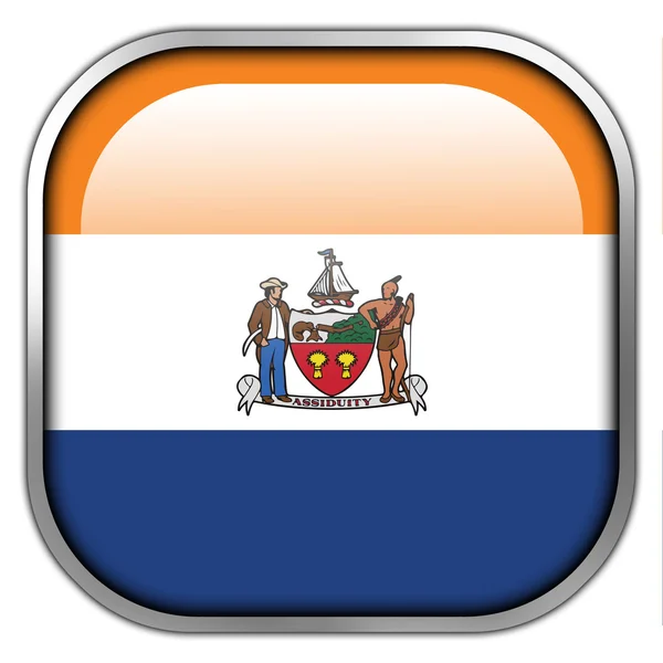 Flag of Albany, New York, square glossy button — Stock Photo, Image