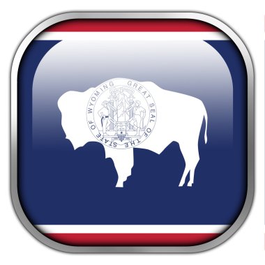 Wyoming eyalet, kare parlak düğme bayrağı