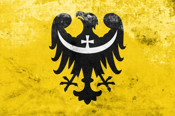 Флаг Нижнесилезского воеводства, Польша — стоковое фото