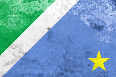 Bayrak Mato Grosso do Sul devlet, Brezilya