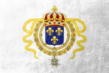 Acadia, Amerika Birleşik Devletleri bayrağı deri dokusu üzerinde boyalı