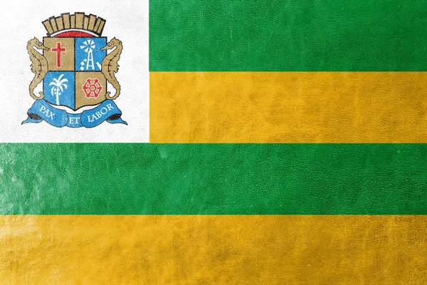 Deri dokusu üzerinde boyalı Aracaju Sergipe, Brazil, bayrağı — Stok fotoğraf