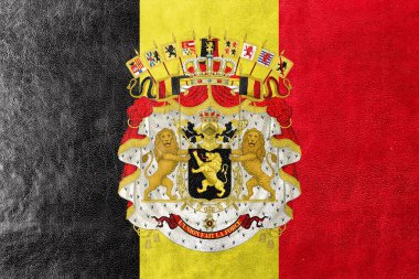 Deri dokusu üzerinde boyalı üniformaları ile Belçika bayrağı