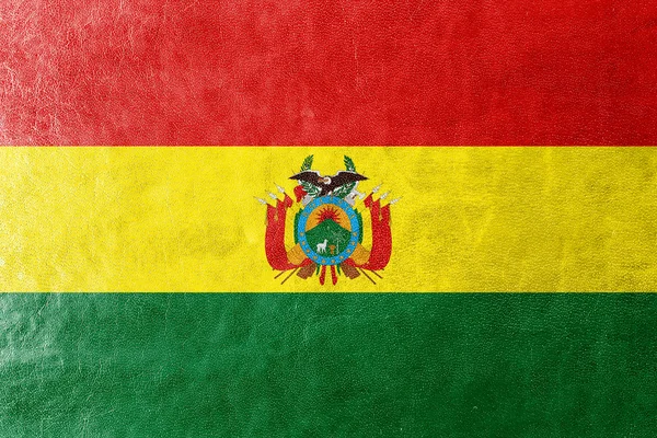 Bandera de Bolivia con Escudo de Armas, pintado sobre textura de cuero — Foto de Stock