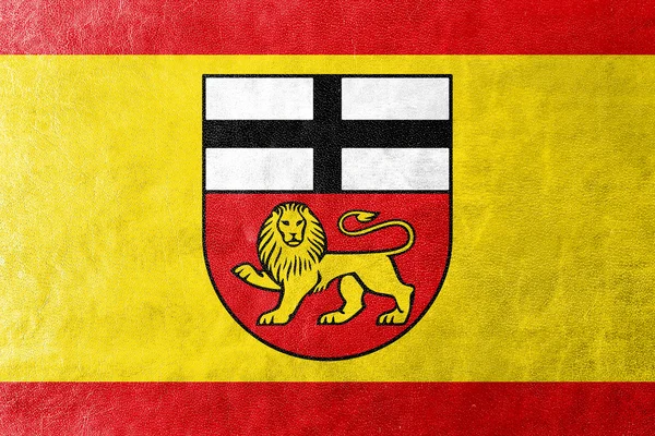 Vlag van Bonn (Duitsland), geschilderd op leder texture — Stockfoto