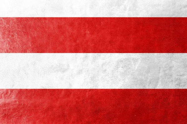 革の質感にブルノ、チェコ共和国の国旗が描かれました。 — ストック写真