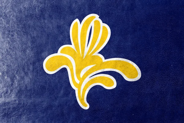 Vlag van het Brussels Gewest, België 1991-2015 — Stockfoto